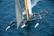 © BMW ORACLE Racing/Gilles Martin-Raget